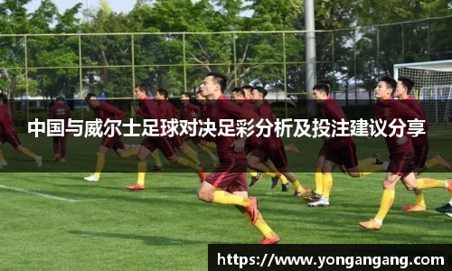 中国与威尔士足球对决足彩分析及投注建议分享
